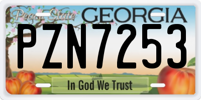 GA license plate PZN7253