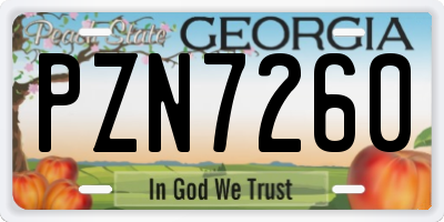 GA license plate PZN7260
