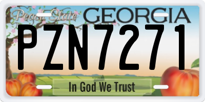 GA license plate PZN7271