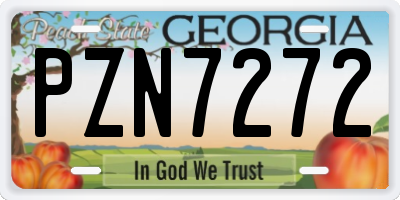 GA license plate PZN7272