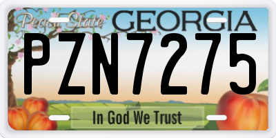 GA license plate PZN7275