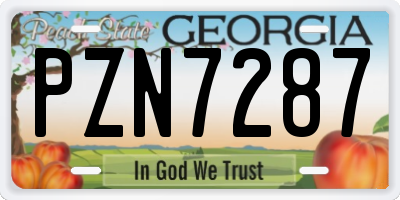 GA license plate PZN7287
