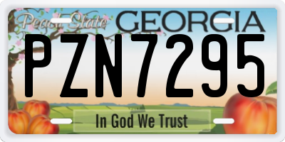 GA license plate PZN7295