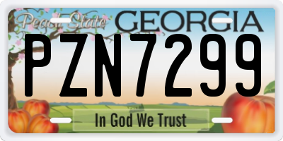 GA license plate PZN7299