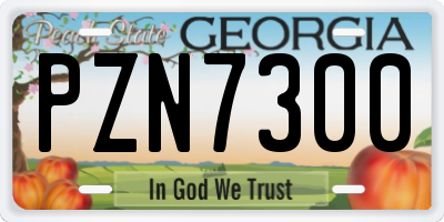GA license plate PZN7300