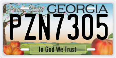 GA license plate PZN7305