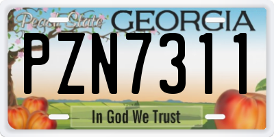 GA license plate PZN7311