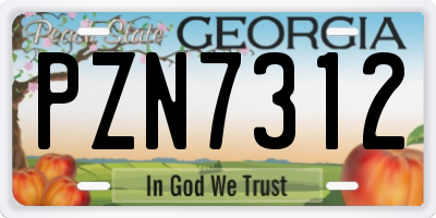 GA license plate PZN7312