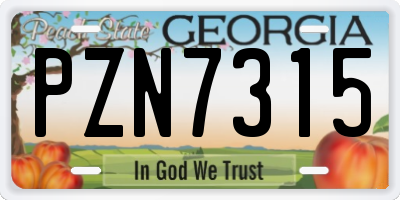 GA license plate PZN7315