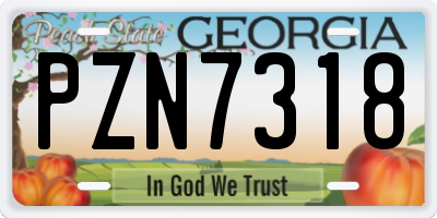 GA license plate PZN7318