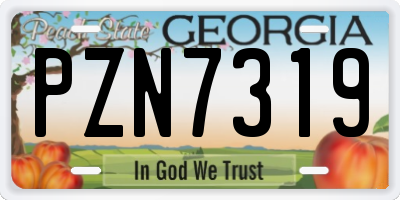 GA license plate PZN7319