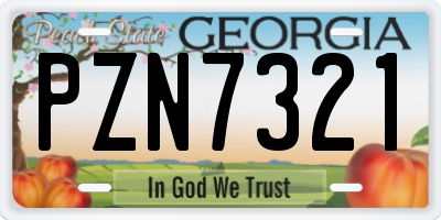 GA license plate PZN7321