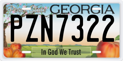 GA license plate PZN7322