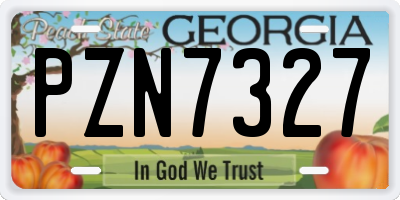 GA license plate PZN7327
