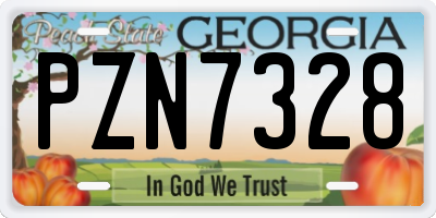 GA license plate PZN7328