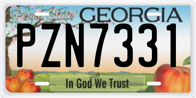 GA license plate PZN7331