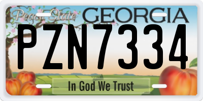 GA license plate PZN7334