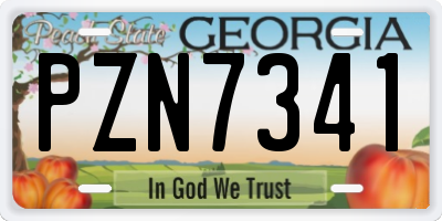 GA license plate PZN7341