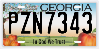 GA license plate PZN7343