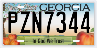GA license plate PZN7344