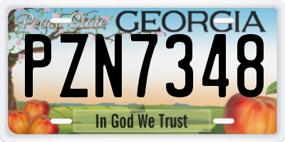 GA license plate PZN7348