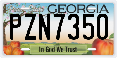 GA license plate PZN7350