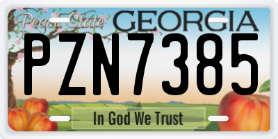 GA license plate PZN7385