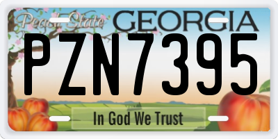 GA license plate PZN7395