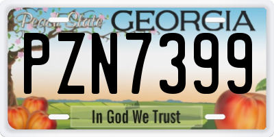 GA license plate PZN7399
