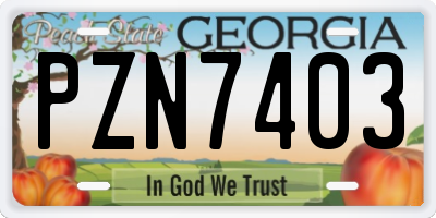 GA license plate PZN7403