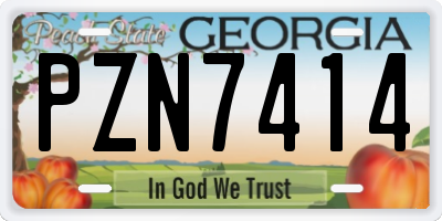 GA license plate PZN7414