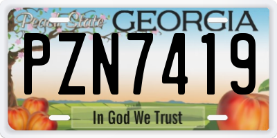 GA license plate PZN7419
