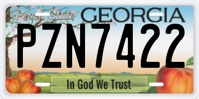 GA license plate PZN7422