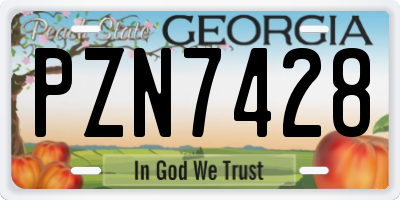 GA license plate PZN7428