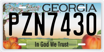 GA license plate PZN7430