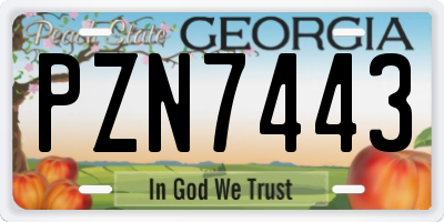 GA license plate PZN7443