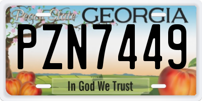 GA license plate PZN7449