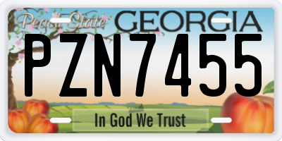 GA license plate PZN7455