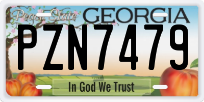 GA license plate PZN7479