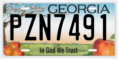 GA license plate PZN7491