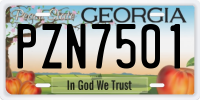 GA license plate PZN7501