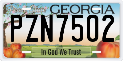 GA license plate PZN7502