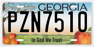 GA license plate PZN7510