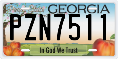 GA license plate PZN7511