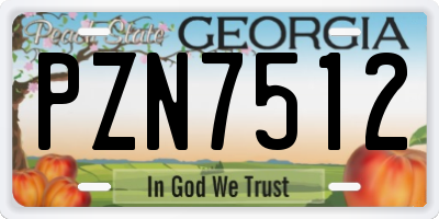 GA license plate PZN7512