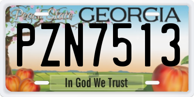 GA license plate PZN7513