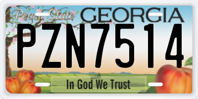 GA license plate PZN7514