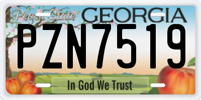GA license plate PZN7519