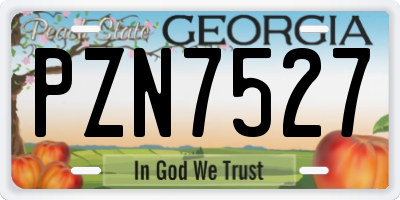 GA license plate PZN7527