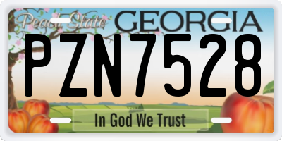 GA license plate PZN7528